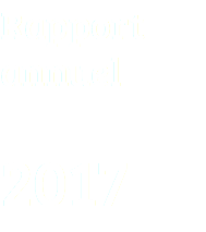 Rapport annuel 2017